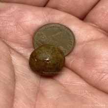 ลูกอมสีผึ้ง หลวงพ่อสงวน วัดไผ่พันมือ จ.สุพรรณบุรี