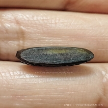 พระชัยวัฒน์ท่านเจ้าคุณศรีฯประหยัดวัดสุทัศน์ปี96