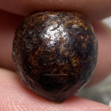 หมากเปลือย ลงรักเก่า