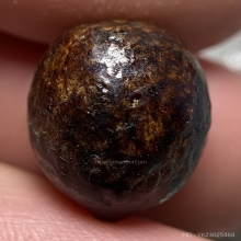 หมากเปลือย ลงรักเก่า