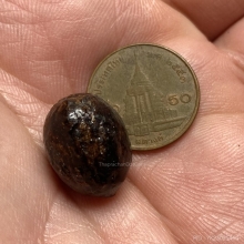 หมากเปลือย ลงรักเก่า