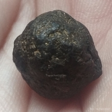 ชานหมากหลวงพ่อท่านคล้าย วาจาสิทธิ์วัดสวนขัน