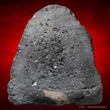 หลวงปู่ทวด วัดประสาท ปี05