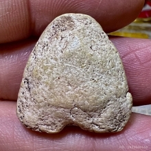 ปิดตาวัดประสาท เนื้อผงขาว รุ่นแรก สวยเดิม ๆเนื้อจัดหายาก