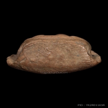 พระรอดกรุวัดมหาวันพิมพ์ใหญ่