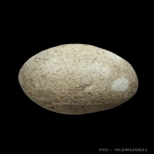 ลูกอมหลวงพ่อปาน วัดบางนมโค