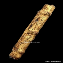 ตะกรุดหนังหน้าผากเสือ หลวงพ่อจง วัดหน้าต่างนอก