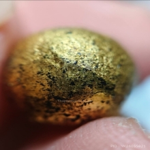 ลูกอมหลวงพ่อดิ่ง วัดบางวัว