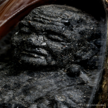 หลวงปู่ทวด วัดช้างให้ ปี24 เนื้อว่าน พิมพ์กลางบิ๊กบอล