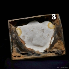 พระบูชา รุ่น3 ปี2510 หลวงพ่อแพ วัดพิกุลทอง สิงห์บุรี