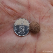 ลูกอมจินดามณี หลวงปู่แก้ว เกสาโร วัดละหารไร่ จ.ระยอง