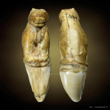 เขี้ยวเสื้อแกะเสือเกจิโบราณ1