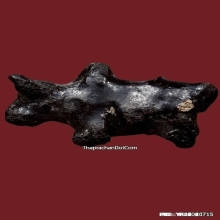 วัวธนูครูบานันตา วัดทุ่งม่านใต้ ปี2500