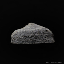 พระนางพญา 