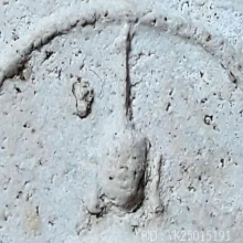 พระสมเด็จพิมพ์เทวดาอกตัน ปี 2495 หลวงปู่นาค วัดระฆัง