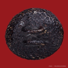 เบี้ยแก้หลวงพ่อภักดิ์ วัดโบสถ์