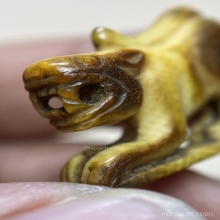 เสือหลวงพ่อเฮง วัดเขาดิน จ.นครสวรรค์ 