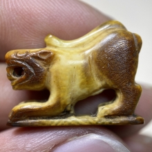 เสือหลวงพ่อเฮง วัดเขาดิน จ.นครสวรรค์ 