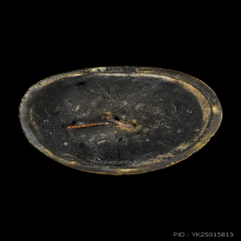 พระบูชาพระนาคปรกแสงอรุณวัดบรมนิวาส​ หน้าตัก3นิ้ว ปี2495