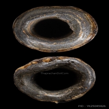 +บัตรสมาคม ตะกรุดจันทร์เพ็ญ หลวงปู่ศุข วัดปากคลองมะขามเฒ่า