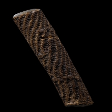 +บัตรสมาคม ตะกรุดจันทร์เพ็ญ หลวงปู่ศุข วัดปากคลองมะขามเฒ่า