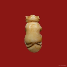 ลิงจับหลักงาแกะ หลวงพ่อดิ่ง วัดบางวัว  มีจาร