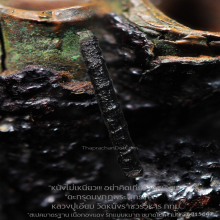 ”ตะกรุดมงกุฏพระพุทธเจ้า” หลวงปู่เอี่ยม วัดหนังฯ กทม.