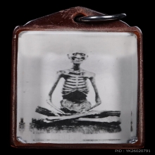 ๙ รูปถ่ายหลวงปู่เดินหน เกสาโร ๙