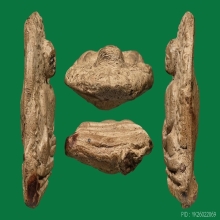 PHRA-PERM ( LAMPOON PROVINCE )