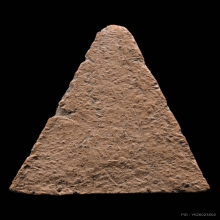 พระนางพญา กรุโรงทอ จ.พิษณุโลก พิมพ์ไม่มีหู