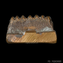 หลวงพ่อทวด เตารีดใหญ่ รุ่นมงคล 5 (นิด้า) วัดทรายขาว ปี 2541 