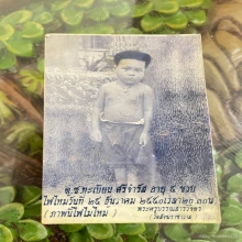 เต่ากะลา หลวงตาเบียน วัดสังฆราชาวาส สิงห์บุรี