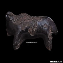 วัวธนูพอกครั่งหลวงพ่อน้อย วัดศีรษะทอง จ.นครปฐม หายากมาก