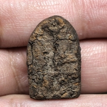 พระลีลาเนื้อผงว่าน  หน้าทองคำ