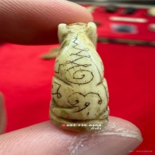 เสือหลวงพ่อสาย วัดคลองด่าน จ.สมุทรปราการ สภาพสวยแชมป์