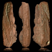 พลายคู่ กรุบ้านกร่าง สวยสมบูรณ์