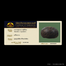 หมากทุย หลวงปู่เอี่ยม วัดหนัง พร้อมตลับทองฝังเพชรแท้ 