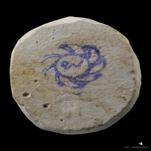 พระผงยันต์ดวง หลวงปู่ดู่ แช่น้ำชา มีตรายาง