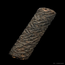 “ไม้ครูพิเศษดอกเล็ก”หลวงปู่ภู วัดอินทร์(ลายเข้ขบฟัน)