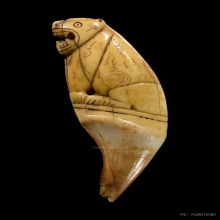 เสือหลวงพ่อสาย วัดคลองด่าน จ.สมุทรปราการ ราวปี2470-2495 