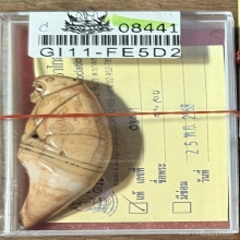 เสือหลวงพ่อสาย วัดคลองด่าน จ.สมุทรปราการ ราวปี2470-2495 