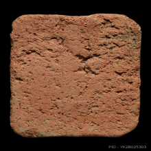 พระหลวฃพ่อปาน วัดบางนมโค นกสายบัว