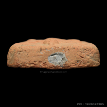 พระหลวฃพ่อปาน วัดบางนมโค นกสายบัว