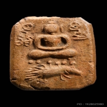 เม่นเล็ก หลวงพ่อปาน วัดบางนมโค