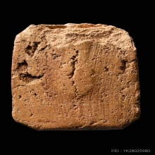 เม่นเล็ก หลวงพ่อปาน วัดบางนมโค