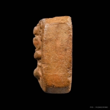 เม่นเล็ก หลวงพ่อปาน วัดบางนมโค