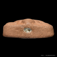 พระหลวงพ่อปาน วัดบางนมโค พิมพ์ปลาหมอ