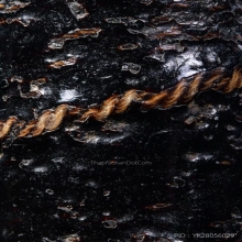 “สุดยอดตะกรุดระดับตำนาน”หลวงพ่อเงิน บางคลาน(ตัวจริง)