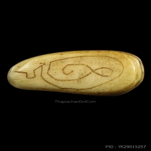 เสือหลวงพ่อสาย วัดบางเหี้ย ตัวเล็กจารชัด สภาพสวยมาก