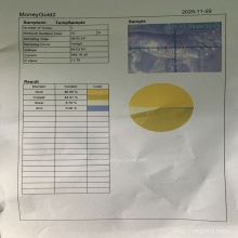 สิงห์ เมืองสิงคโปร์ Singapore Football Association Medal 